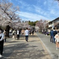 実際訪問したユーザーが直接撮影して投稿した犬山町並み犬山城下町の写真