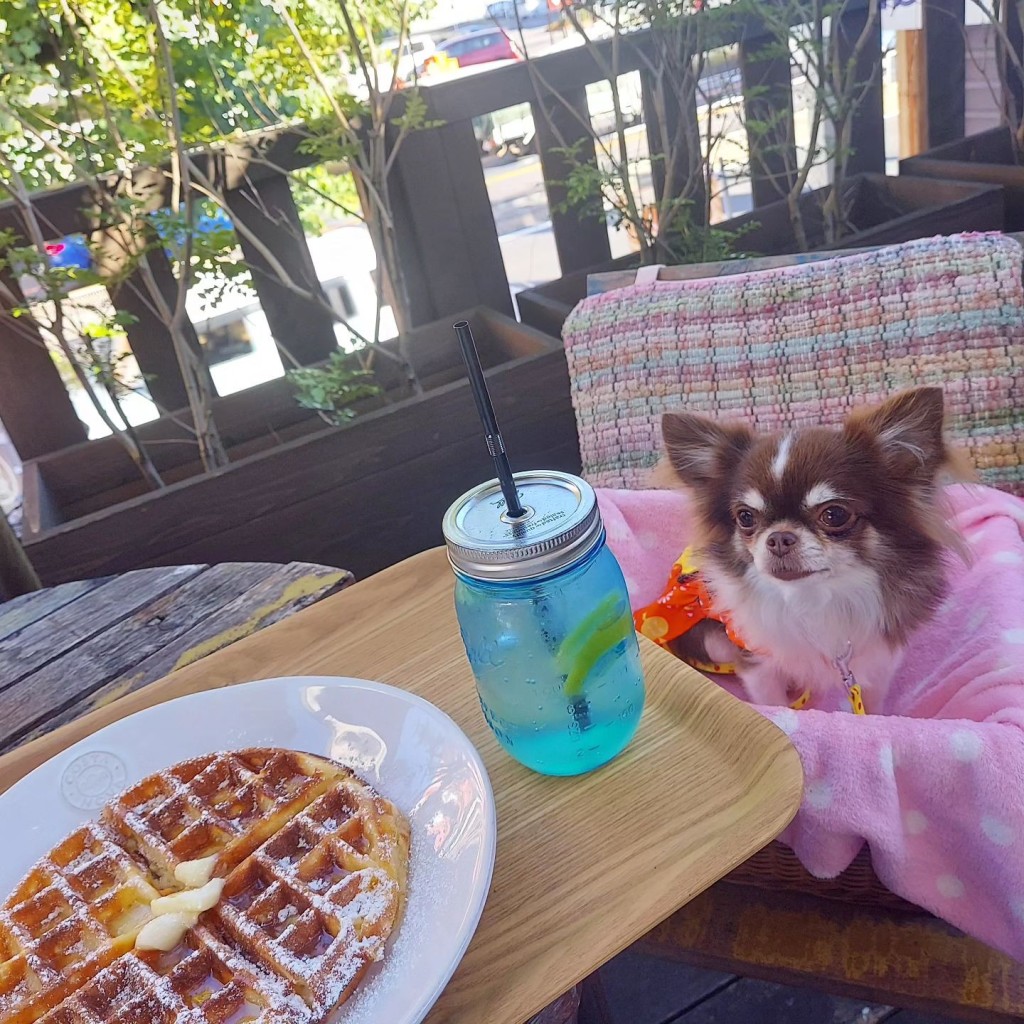 JJmamaさんが投稿した上里カフェのお店Rainbow Cafe マライカ BAZAAR岡崎店/レインボー カフェ マライカ バザールオカザキテンの写真