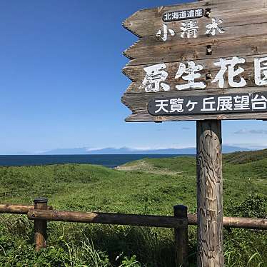 実際訪問したユーザーが直接撮影して投稿した浜小清水生息地 / 群生地・飛来地小清水原生花園の写真