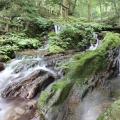 実際訪問したユーザーが直接撮影して投稿した天徳寺滝 / 渓谷瓜割の滝の写真