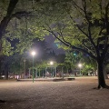 実際訪問したユーザーが直接撮影して投稿した正木公園正木公園の写真