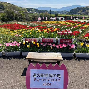 道の駅 原尻の滝のundefinedに実際訪問訪問したユーザーunknownさんが新しく投稿した新着口コミの写真