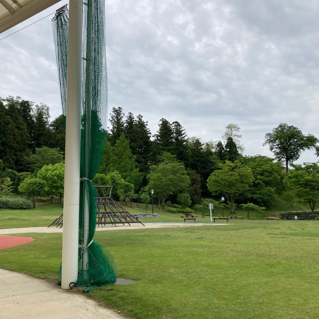 undefinedさんが投稿した田村町桜ケ丘公園のお店大安場公園/オオヤスバコウエンの写真