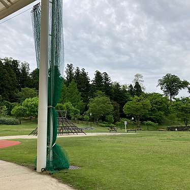 実際訪問したユーザーが直接撮影して投稿した田村町桜ケ丘公園大安場公園の写真