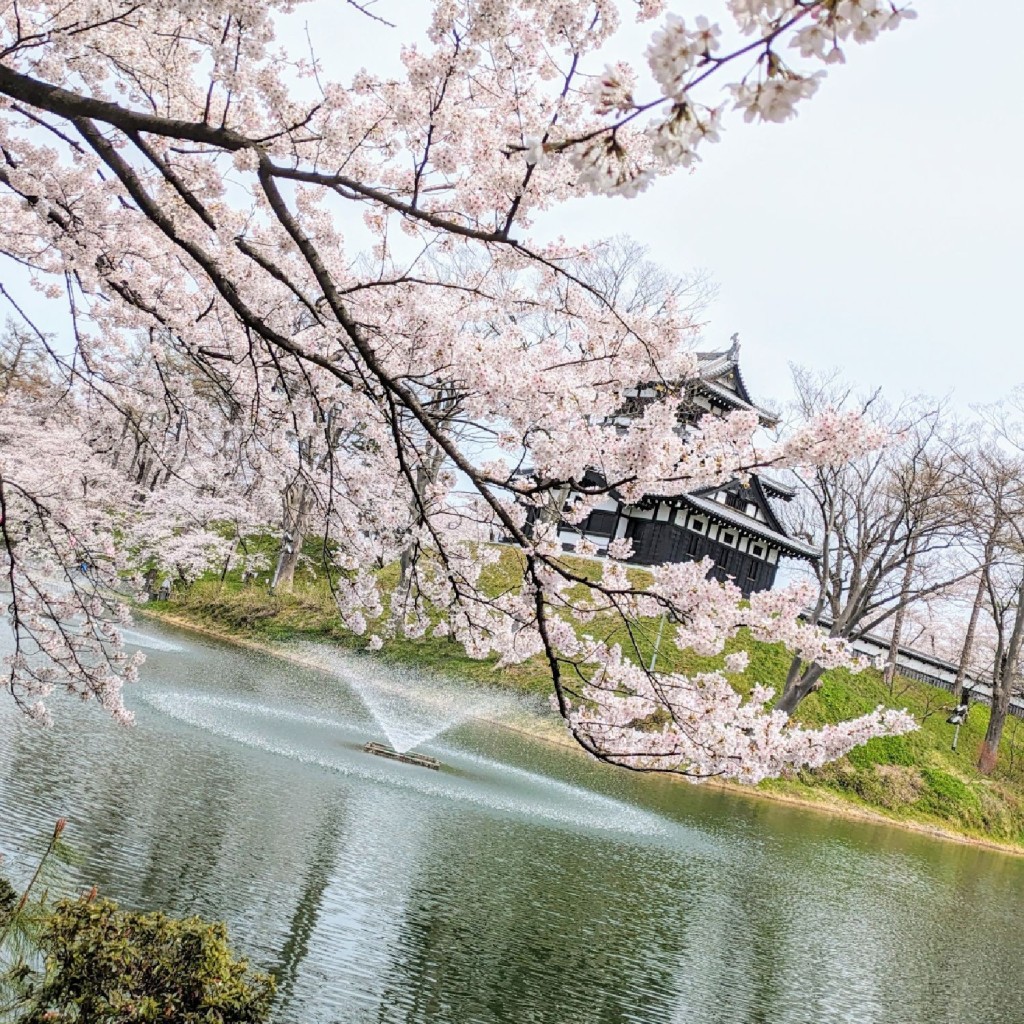 実際訪問したユーザーが直接撮影して投稿した本城町公園高田城址公園 ちびっこ広場の写真