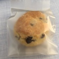 チョコ - 実際訪問したユーザーが直接撮影して投稿した百津郷スイーツScone83の写真のメニュー情報