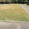 実際訪問したユーザーが直接撮影して投稿した鶴舞広場鶴舞公園 芝生広場の写真