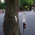 実際訪問したユーザーが直接撮影して投稿した西ケ原神社七社神社の写真