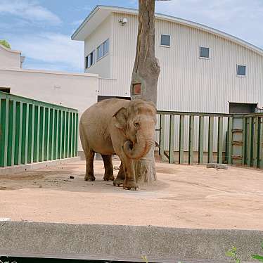 神戸市立王子動物園のundefinedに実際訪問訪問したユーザーunknownさんが新しく投稿した新着口コミの写真