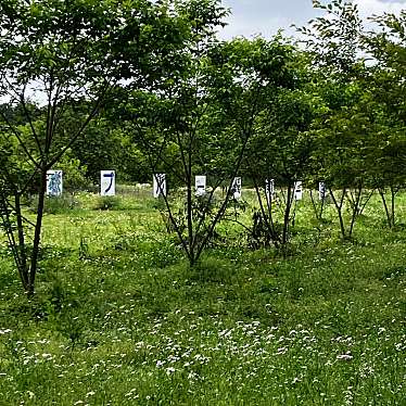 実際訪問したユーザーが直接撮影して投稿した千本松体験千本松牧場 ブルーベリー園の写真