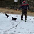 実際訪問したユーザーが直接撮影して投稿した高山町公園くろんど池自然公園の写真