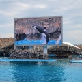 実際訪問したユーザーが直接撮影して投稿した港町水族館 / アクアリウム名古屋港水族館の写真
