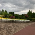 実際訪問したユーザーが直接撮影して投稿した七北田公園七北田公園の写真
