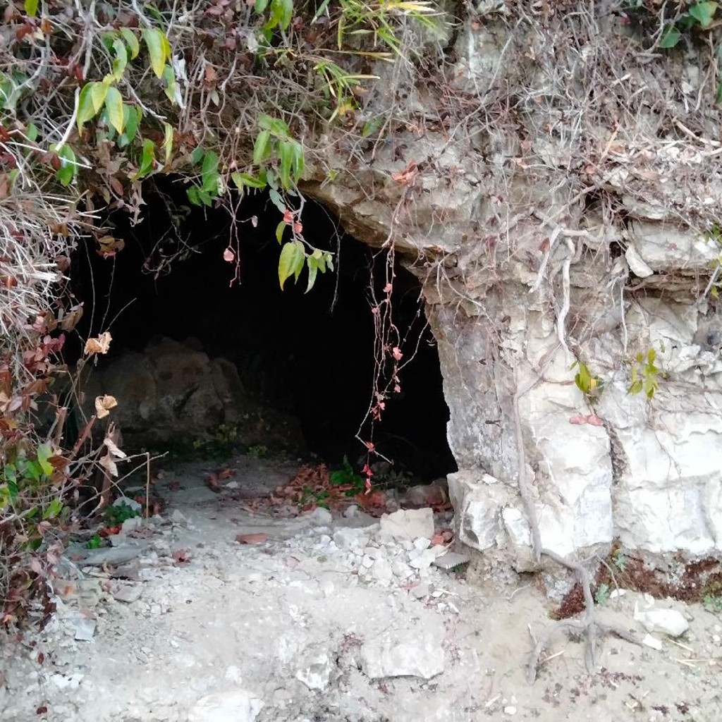 実際訪問したユーザーが直接撮影して投稿した新羽町歴史 / 遺跡西方寺裏 横穴墓群の写真