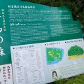 実際訪問したユーザーが直接撮影して投稿した浮島地域名所浮島の森の写真