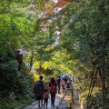 実際訪問したユーザーが直接撮影して投稿した桝屋町寺高台寺の写真