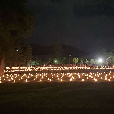 奈良公園のundefinedに実際訪問訪問したユーザーunknownさんが新しく投稿した新着口コミの写真