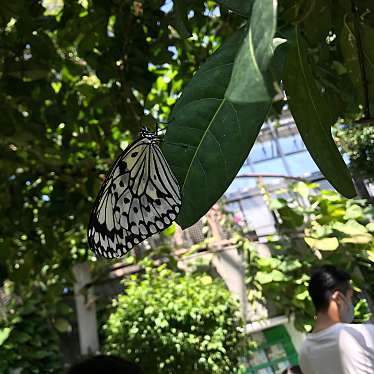 広島市森林公園 こんちゅう館のundefinedに実際訪問訪問したユーザーunknownさんが新しく投稿した新着口コミの写真