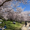 実際訪問したユーザーが直接撮影して投稿した明石公園公園明石公園の写真