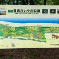 実際訪問したユーザーが直接撮影して投稿した瀬川公園日光だいや川公園の写真