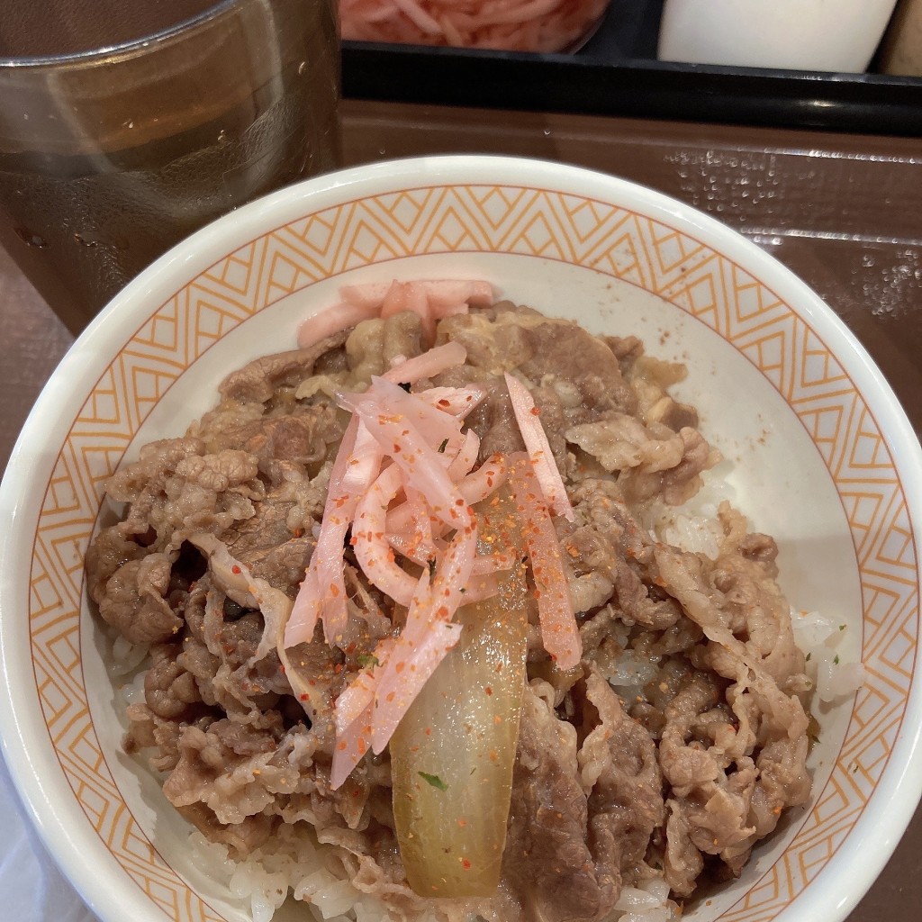 ユーザーが投稿した牛丼ミニの写真 - 実際訪問したユーザーが直接撮影して投稿した南港北牛丼すき家 南港ATC店の写真