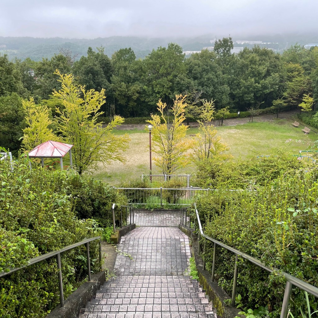 実際訪問したユーザーが直接撮影して投稿した滝呂町公園冒険公園の写真