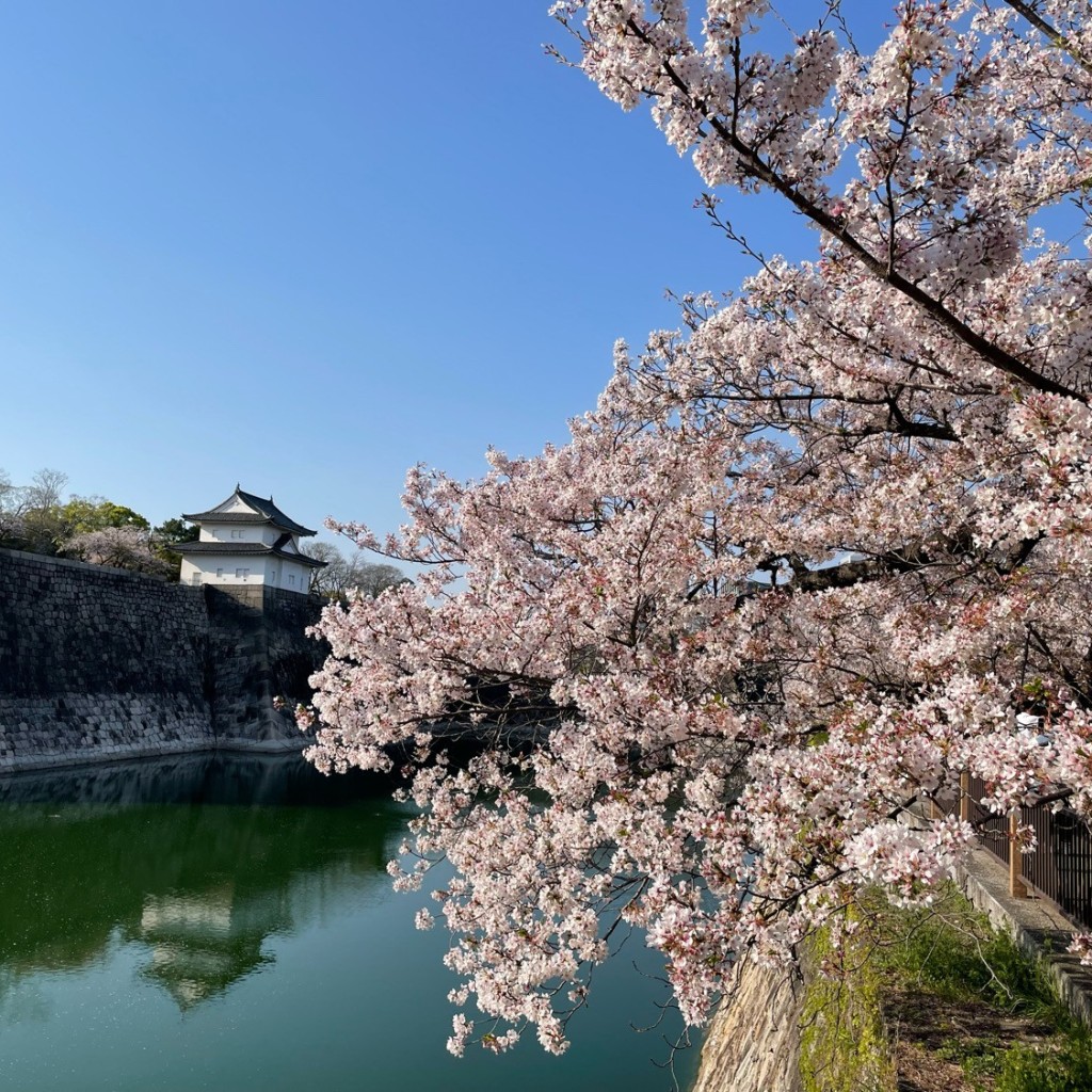 かずくんグルメと旅行さんが投稿した大阪城公園のお店大阪城公園/オオサカジョウコウエンの写真