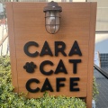 実際訪問したユーザーが直接撮影して投稿した箕面テーマカフェカーラ キャット カフェの写真