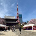 実際訪問したユーザーが直接撮影して投稿した芝公園寺大本山 増上寺の写真