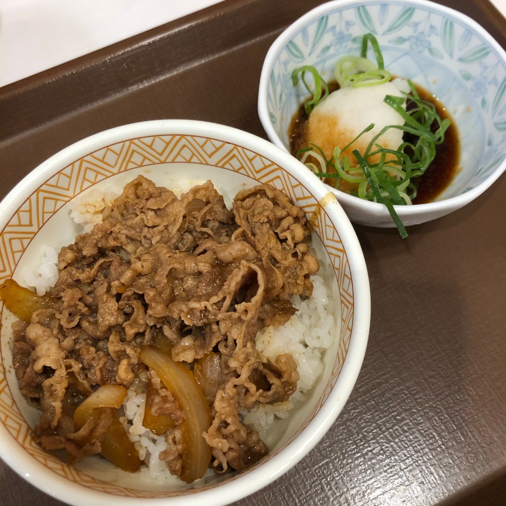 ユーザーが投稿した牛丼ミニおろポンの写真 - 実際訪問したユーザーが直接撮影して投稿した槇島町牛丼すき家 槙島店の写真