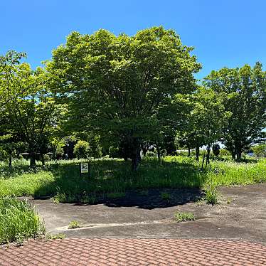 実際訪問したユーザーが直接撮影して投稿した福田町公園福田緑地の写真