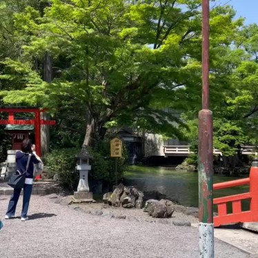 実際訪問したユーザーが直接撮影して投稿した宮町橋神路橋の写真