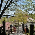 実際訪問したユーザーが直接撮影して投稿した峠町神社熊野皇大神社の写真