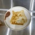 実際訪問したユーザーが直接撮影して投稿した白鳥町カフェCat Cafe MOFF イオンモール豊川店の写真