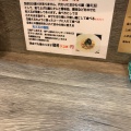 実際訪問したユーザーが直接撮影して投稿した広見ラーメン / つけ麺ニボシラァメン コハクの写真