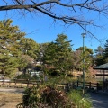 実際訪問したユーザーが直接撮影して投稿した平手町公園志賀公園の写真