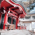 実際訪問したユーザーが直接撮影して投稿した中清戸神社日枝神社 水天宮の写真