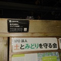 実際訪問したユーザーが直接撮影して投稿した奥沢記念碑地域風景資産 奥沢海軍村ゆかりの風景の写真