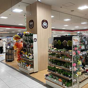 実際訪問したユーザーが直接撮影して投稿した二本松100円ショップキャンドゥ ブランチ大津京店の写真