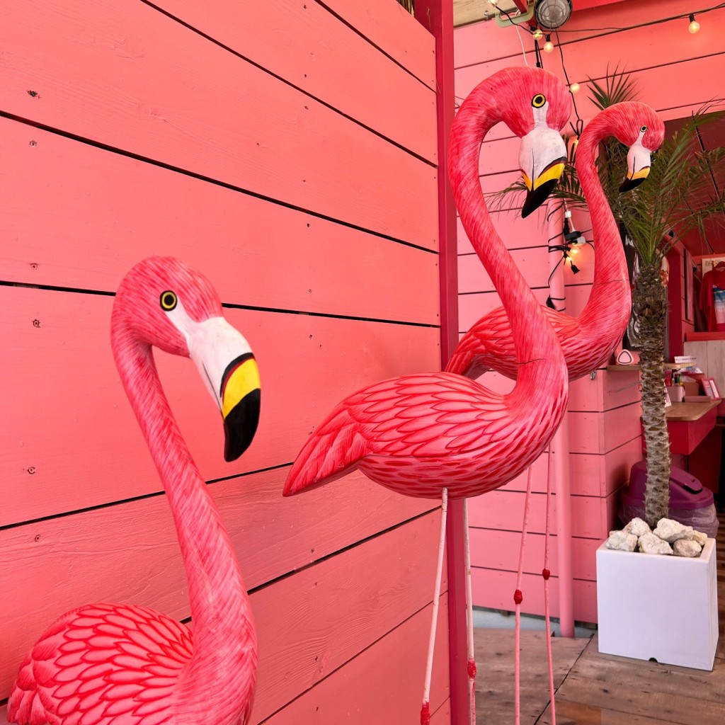実際訪問したユーザーが直接撮影して投稿した豊崎海の家Pink Flamingoの写真