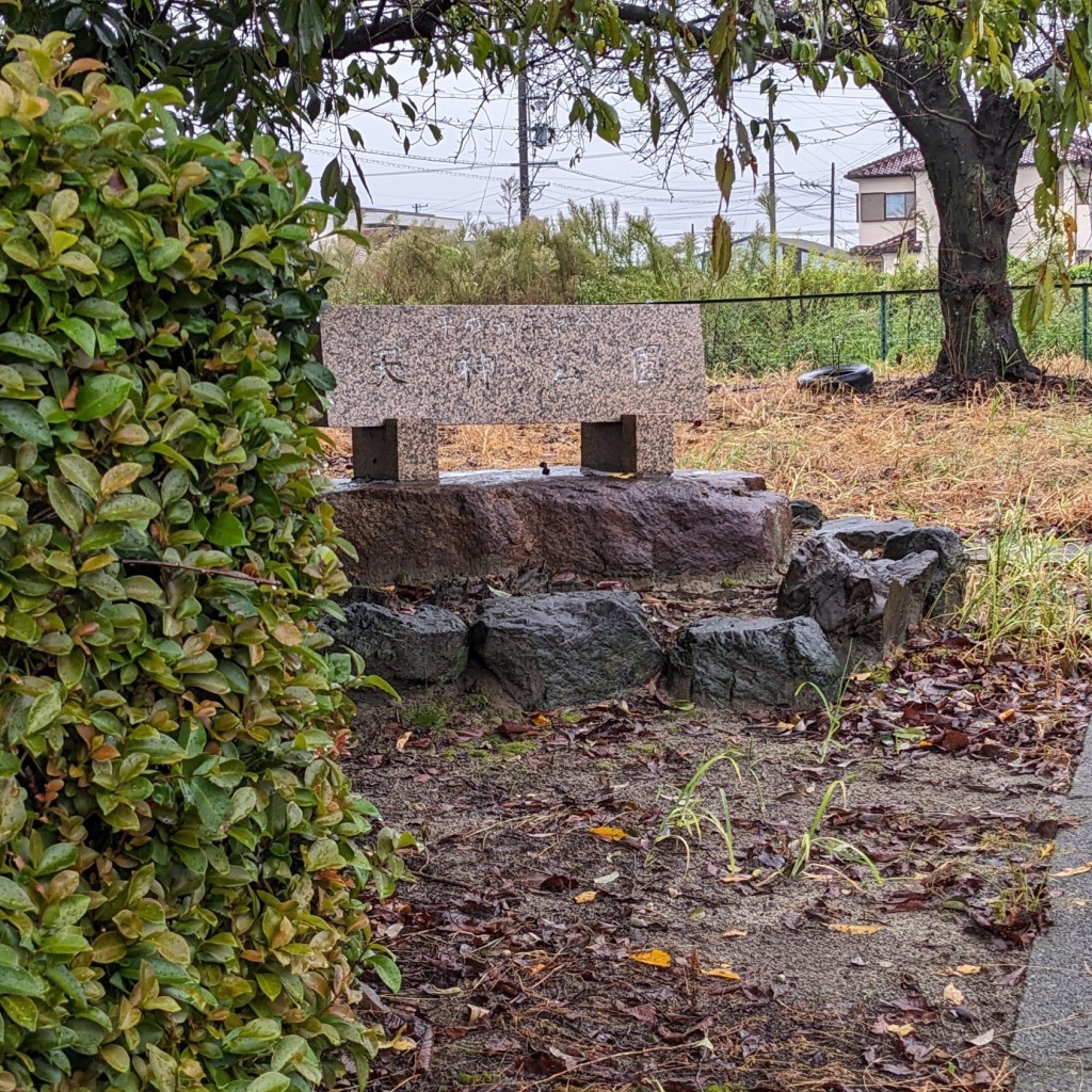 実際訪問したユーザーが直接撮影して投稿した千代公園天神公園の写真