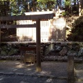 実際訪問したユーザーが直接撮影して投稿した宇治館町神社大山祇神社の写真