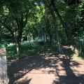 実際訪問したユーザーが直接撮影して投稿した岡本公園岡本静嘉堂緑地の写真