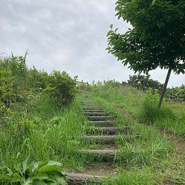 実際訪問したユーザーが直接撮影して投稿した緑が丘西公園北東部近隣公園の写真