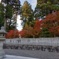 実際訪問したユーザーが直接撮影して投稿した池田町白地寺雲辺寺の写真