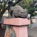 実際訪問したユーザーが直接撮影して投稿した木場神社木場洲崎神社の写真