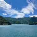 実際訪問したユーザーが直接撮影して投稿した原湖沼 / 池奥多摩湖の写真