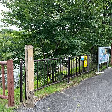 実際訪問したユーザーが直接撮影して投稿した鳴海町公園神沢池街園の写真