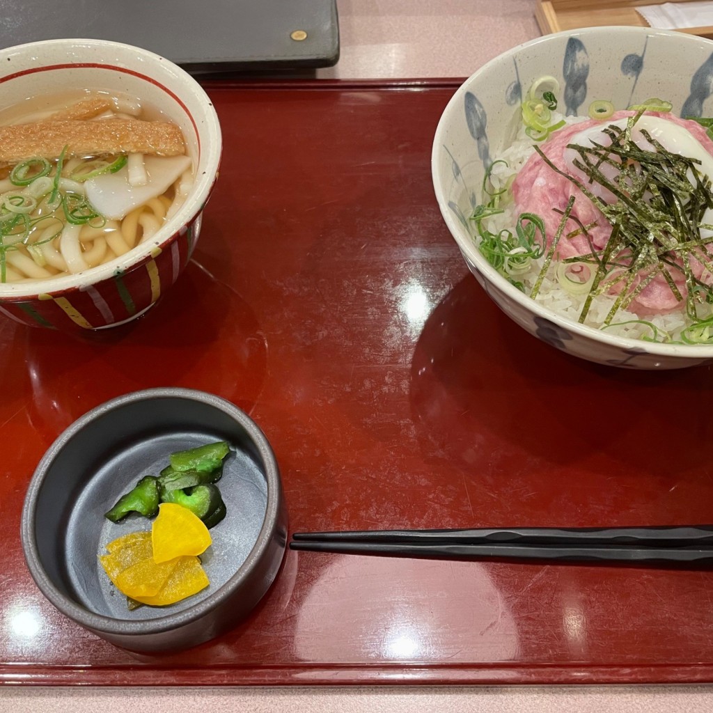 ユーザーが投稿したネギトロ丼 うの写真 - 実際訪問したユーザーが直接撮影して投稿した田中町和食 / 日本料理かかし アピタ大和郡山店の写真