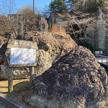 実際訪問したユーザーが直接撮影して投稿した大谷町岩親子がえるの写真